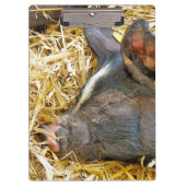 CUTE PIG KLEMBORD (Voorkant)