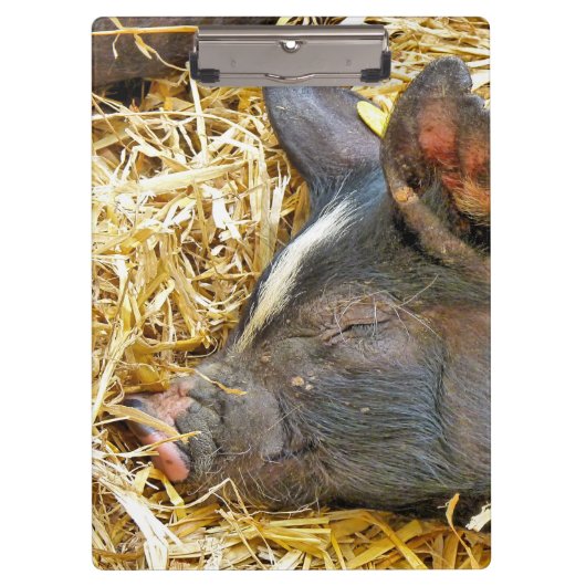 CUTE PIG KLEMBORD (Voorkant)