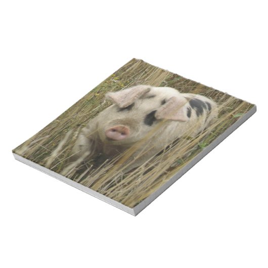 Cute Pig-laptop Notitieblok (Linkerzijde)