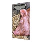 CUTE PIG MINI KLEMBORD (Angled2)