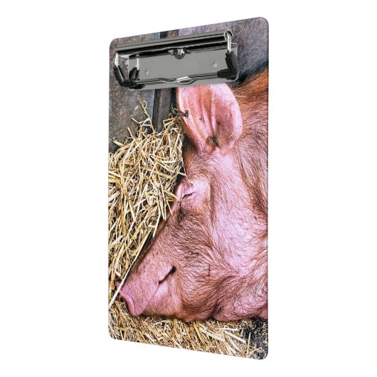 CUTE PIG MINI KLEMBORD (Angled2)