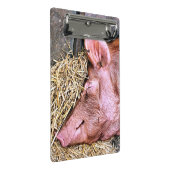 CUTE PIG MINI KLEMBORD (Schuin)