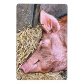 CUTE PIG MINI KLEMBORD (Achterkant)