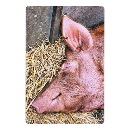 CUTE PIG MINI KLEMBORD (Achterkant)