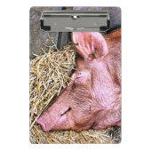 CUTE PIG MINI KLEMBORD (Voorkant)