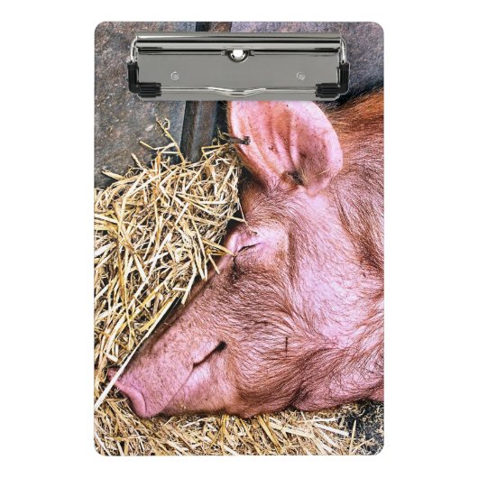 CUTE PIG MINI KLEMBORD (Voorkant)