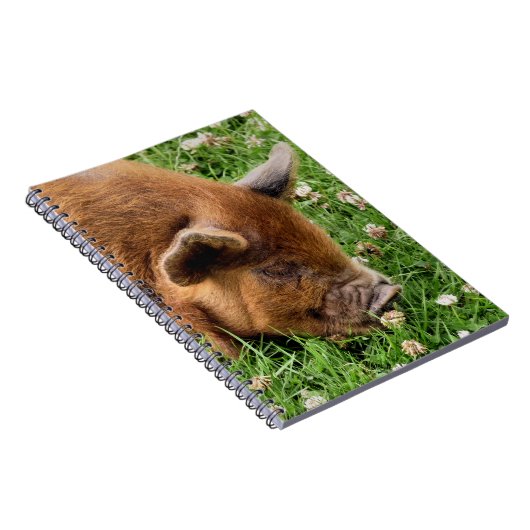 CUTE PIG NOTITIEBOEK (Rechterzijde)
