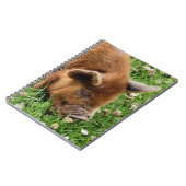 CUTE PIG NOTITIEBOEK (Linkerzijde)