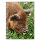 CUTE PIG NOTITIEBOEK (Voorkant)