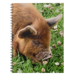 CUTE PIG NOTITIEBOEK