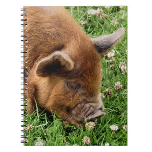 CUTE PIG NOTITIEBOEK