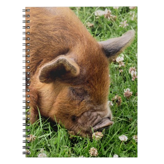 CUTE PIG NOTITIEBOEK (Voorkant)