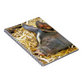 CUTE PIG NOTITIEBOEK (Rechterzijde)