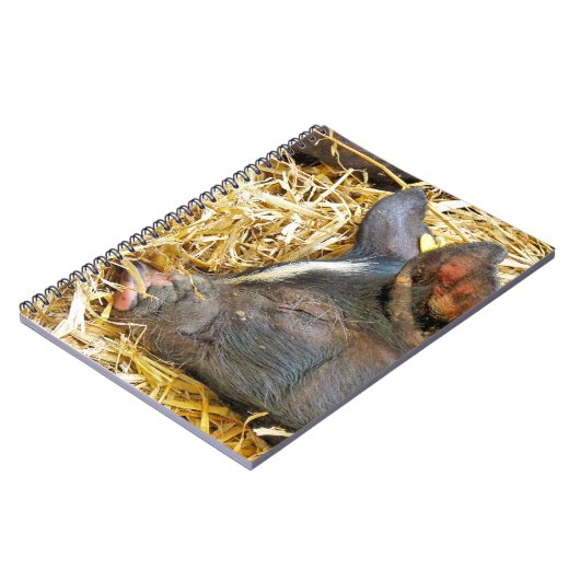 CUTE PIG NOTITIEBOEK (Linkerzijde)