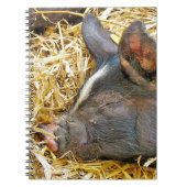 CUTE PIG NOTITIEBOEK (Voorkant)