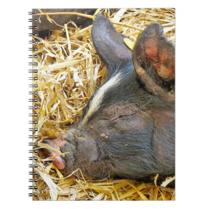 CUTE PIG NOTITIEBOEK