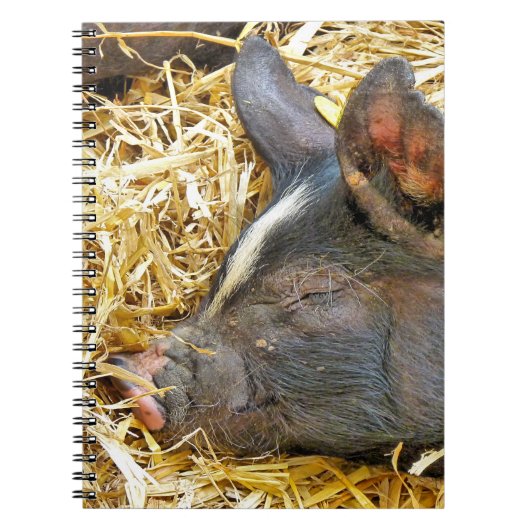 CUTE PIG NOTITIEBOEK (Voorkant)