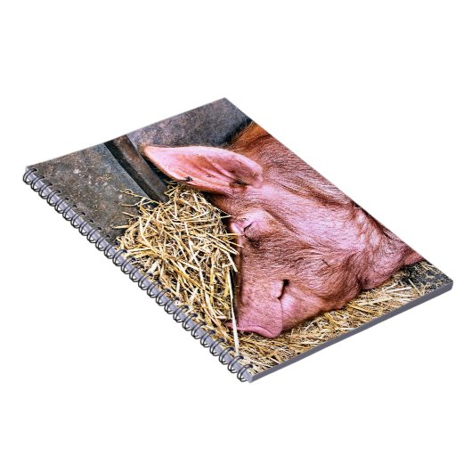 CUTE PIG NOTITIEBOEK (Rechterzijde)