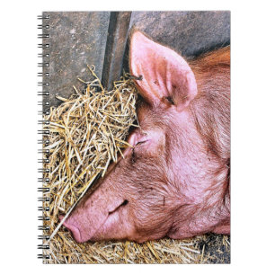 CUTE PIG NOTITIEBOEK