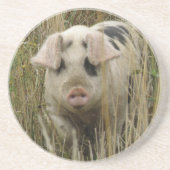 Cute Pig Onderzetters (Voorkant)