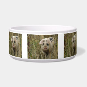 Cute Pig Pet Bowl Voerbakje