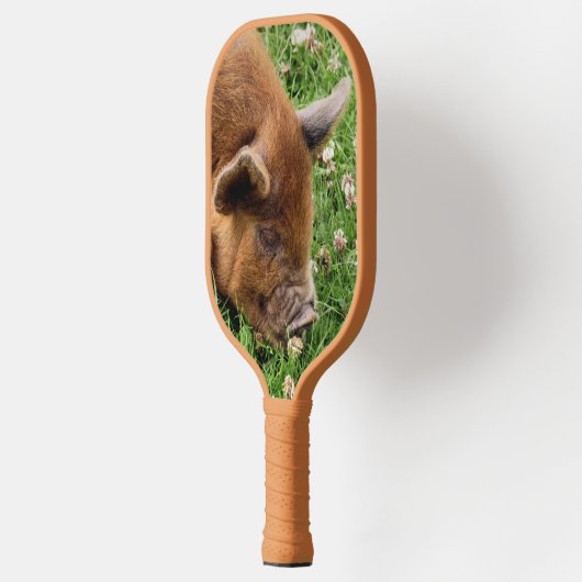 CUTE PIG PICKLEBALL PADDLE (Links)