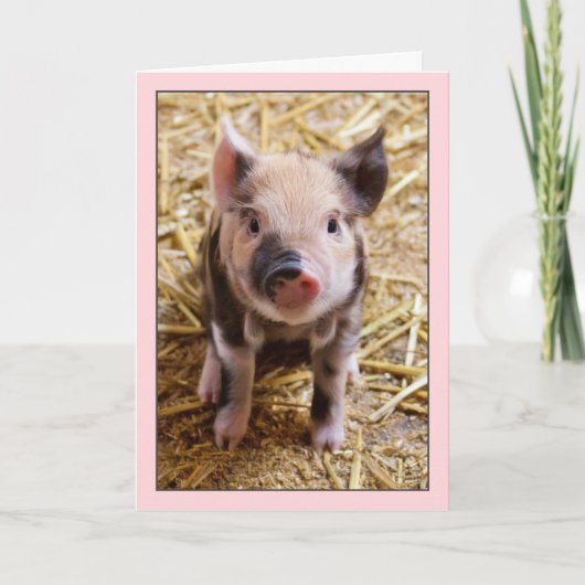 Cute Pig Pink Birthday Card Kaart (Voorkant)