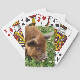 CUTE PIG POKERKAARTEN