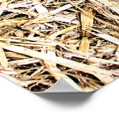 CUTE PIG POSTER (Hoek)