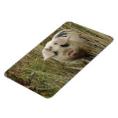 Cute Pig Premium Magnet Magneet (Linkerzijde)