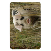 Cute Pig Premium Magnet Magneet (Verticaal)