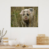 Cute Pig Print (Keuken)