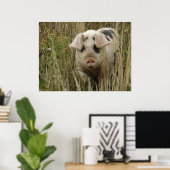 Cute Pig Print (Thuiskantoor)