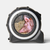 CUTE PIG ROLMAAT (Voorkant)