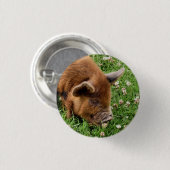 CUTE PIG RONDE BUTTON 3,2 CM (Voorkant /achterkant)