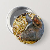 CUTE PIG RONDE BUTTON 7,6 CM (Voorkant /achterkant)