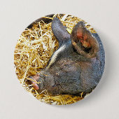 CUTE PIG RONDE BUTTON 7,6 CM (Voorkant)