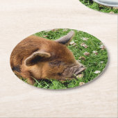 CUTE PIG RONDE KARTONNEN ONDERZETTER (Gebogen)