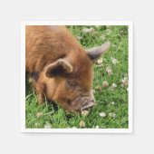 CUTE PIG SERVET (Voorkant)