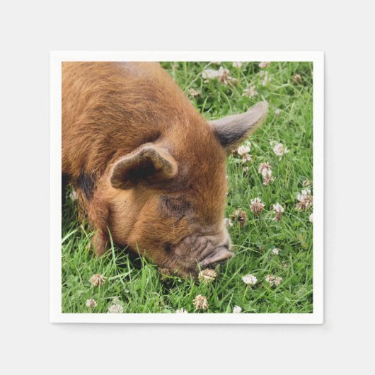 CUTE PIG SERVET (Voorkant)