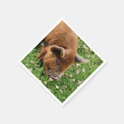 CUTE PIG SERVET (Hoek)