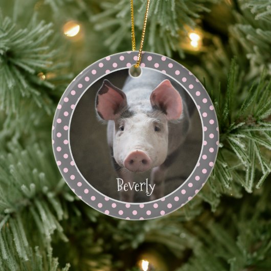 Cute Pig Specialized Ceramic Ornament (Boom)