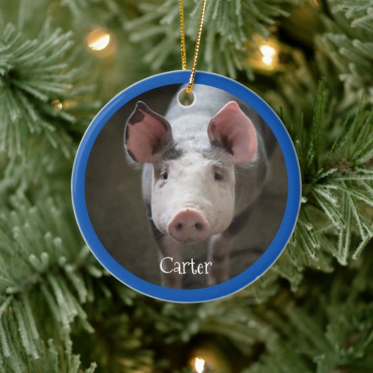 Cute Pig Specialized Ceramic Ornament (Boom)