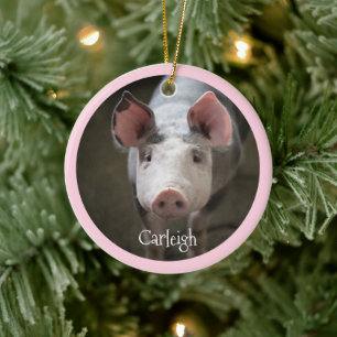 Cute Pig Specialized Ceramic Ornament