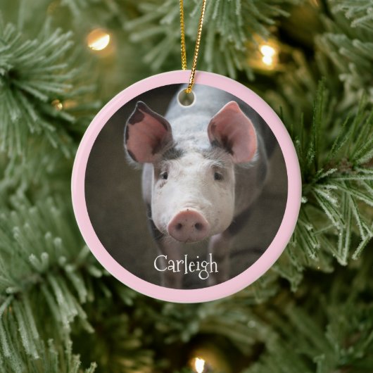 Cute Pig Specialized Ceramic Ornament (Boom)