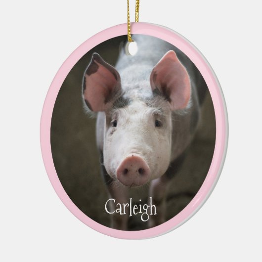 Cute Pig Specialized Ceramic Ornament (Links)