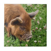 CUTE PIG TEGELTJE (Voorkant)