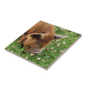 CUTE PIG TEGELTJE (Zijkant)