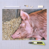 CUTE PIG TISSUEPAPIER (Craft)