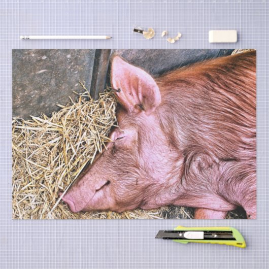 CUTE PIG TISSUEPAPIER (Craft)